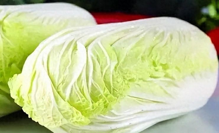 大白菜