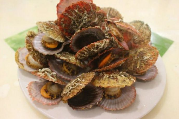 威海扇贝