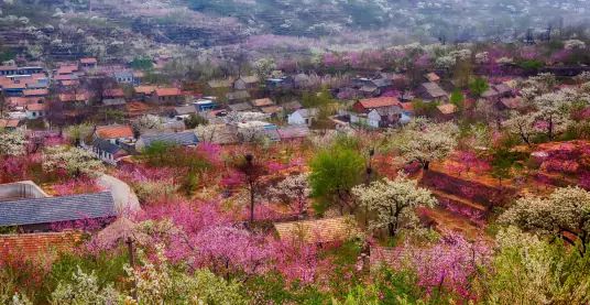 平邑县九间棚旅游开发有限公司（九间棚景区）