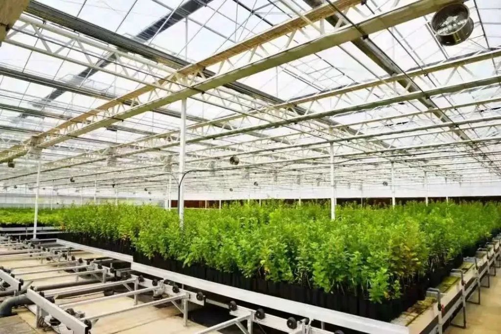 山东朱家林乡建集团有限公司（朱家林自然生态研学基地）