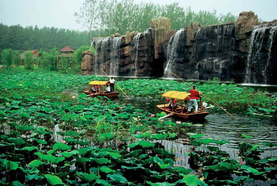滕州微山湖红荷湿地景区