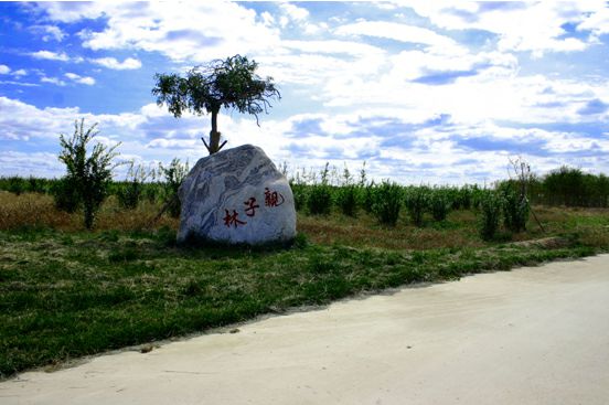 山东华林庄园