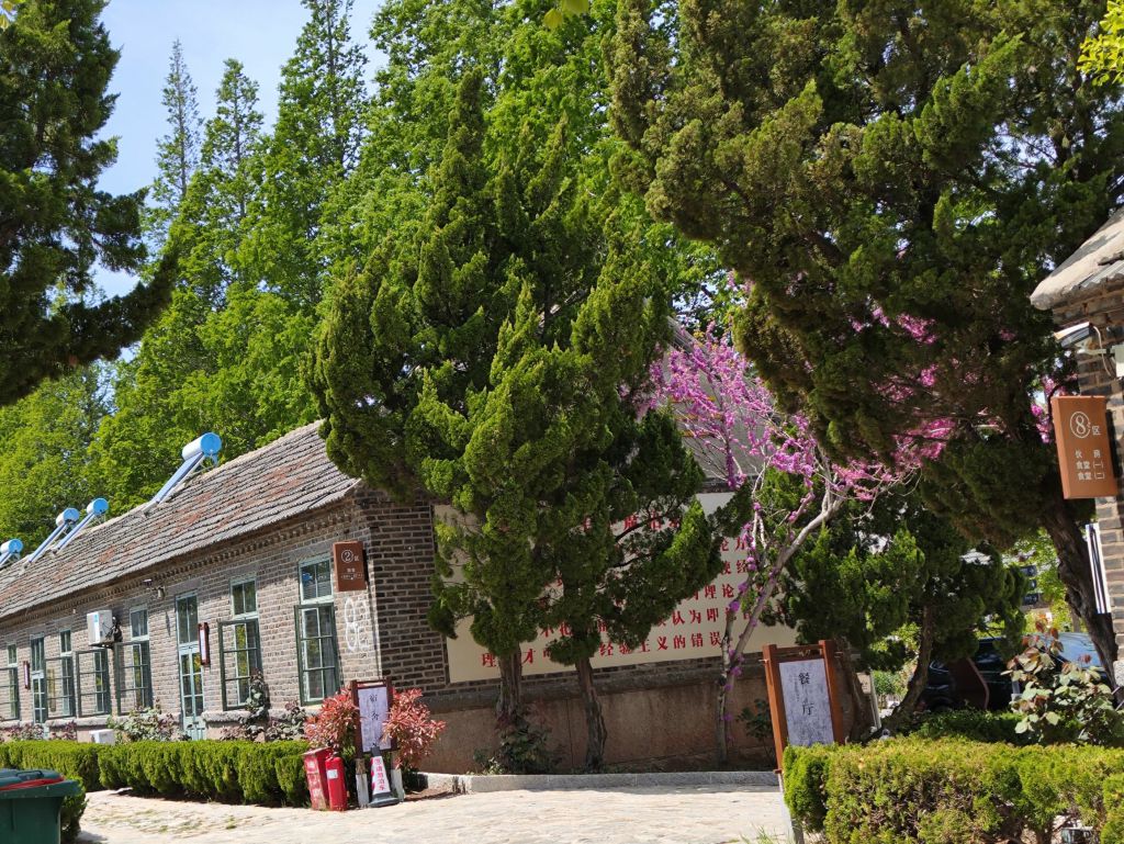 荣成市国有成山林场研学实践基地