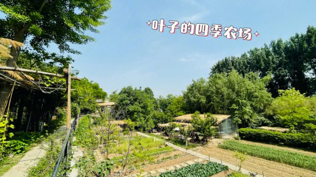 济南叶子四季家庭农场有限公司