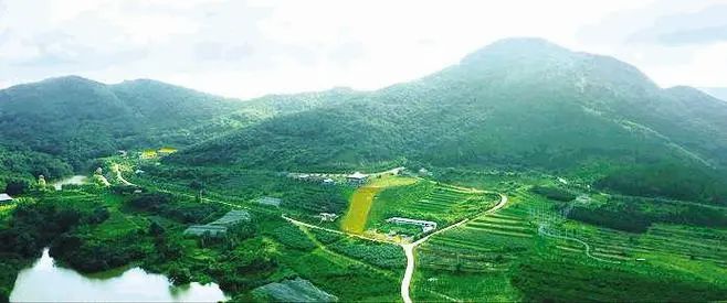 山东润竹山文化旅游发展有限公司